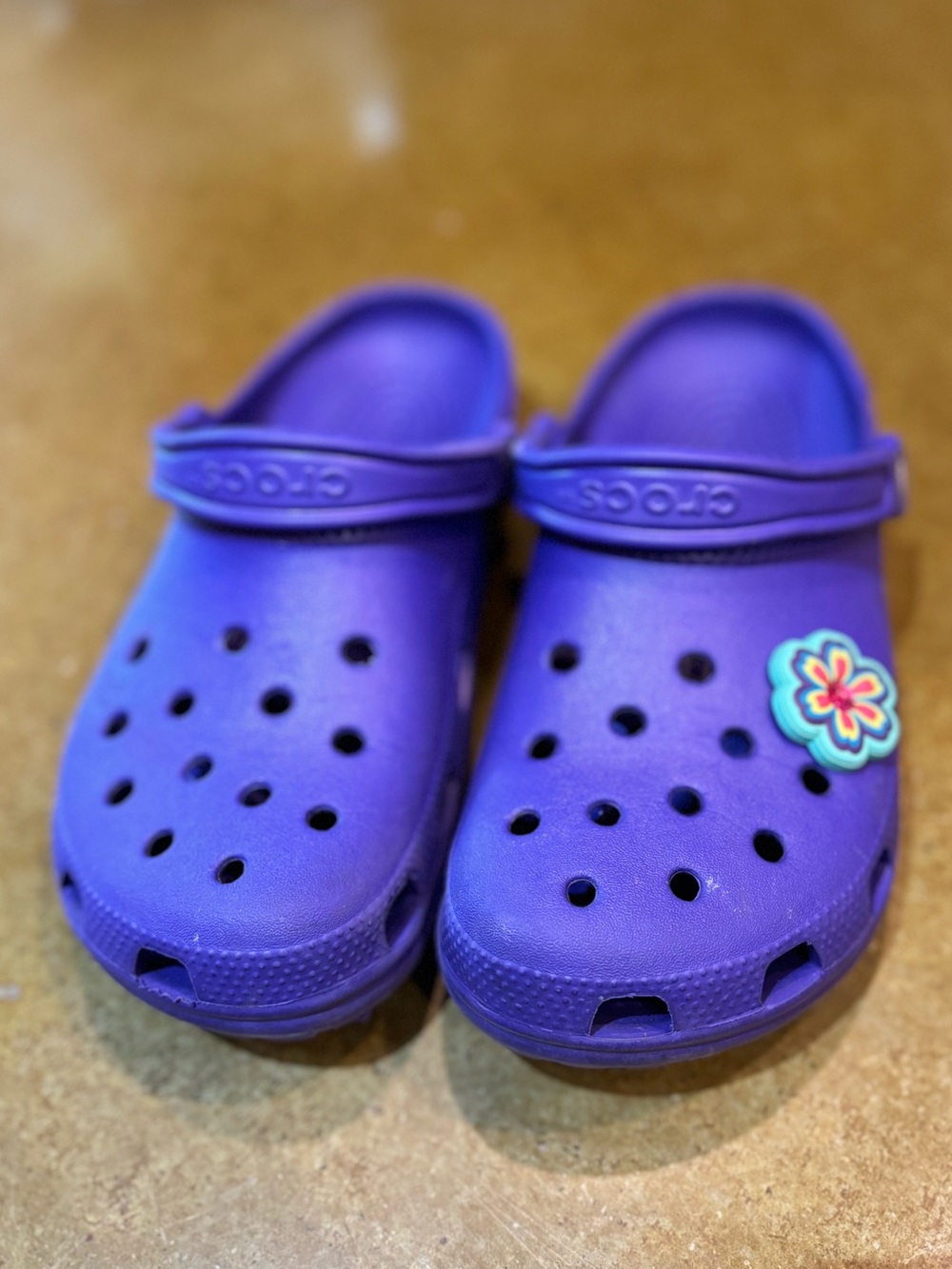 MENS / WOMENS Crocs Classic Clog - Purple